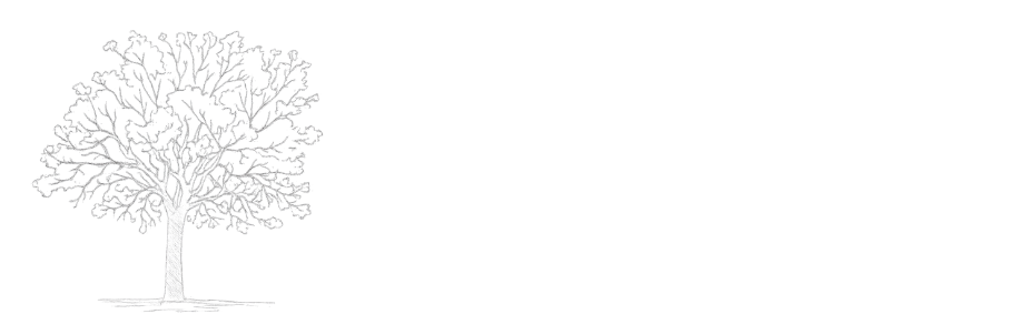 White-LeftAligned-Transparent