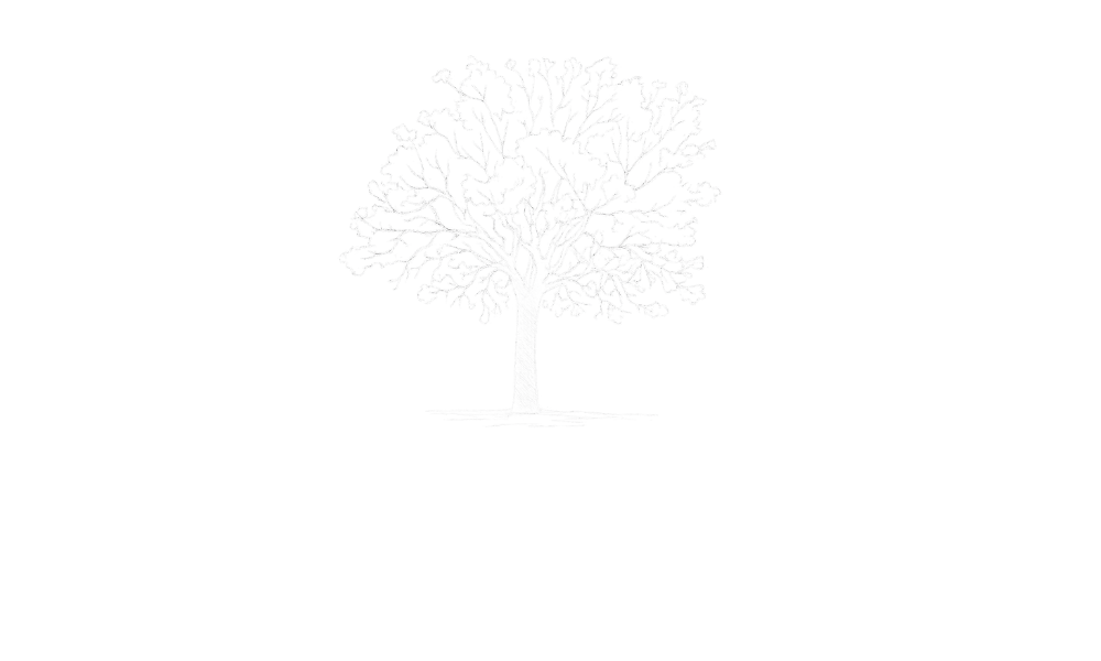 Country Homestead Retreats, private holiday accommodation in Stanthorpe.